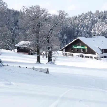 D'altitude De Grouvelin 3* Gérardmer