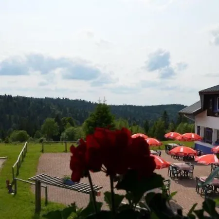 D'altitude De Grouvelin Inn Gérardmer