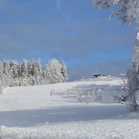 Inn D'altitude De Grouvelin Gérardmer