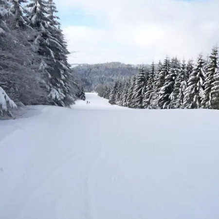 D'altitude De Grouvelin Inn 3*