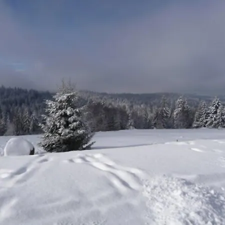 D'altitude De Grouvelin Inn Gérardmer