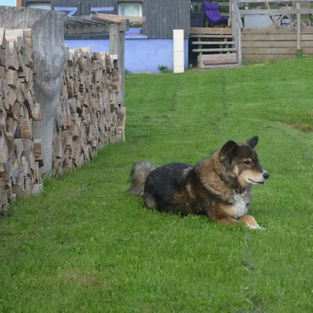 イン D'altitude De Grouvelin ジェラールメ