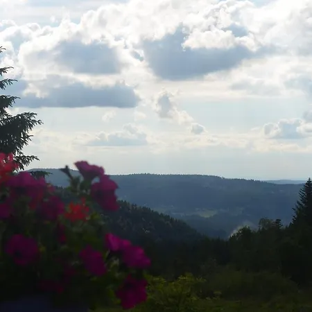 D'altitude De Grouvelin ジェラールメ