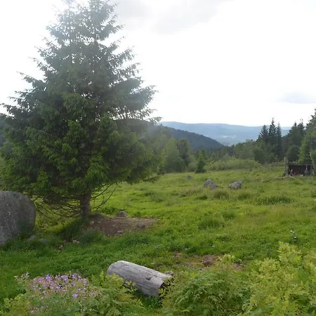 D'altitude De Grouvelin Gérardmer