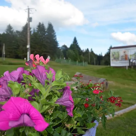 D'altitude De Grouvelin