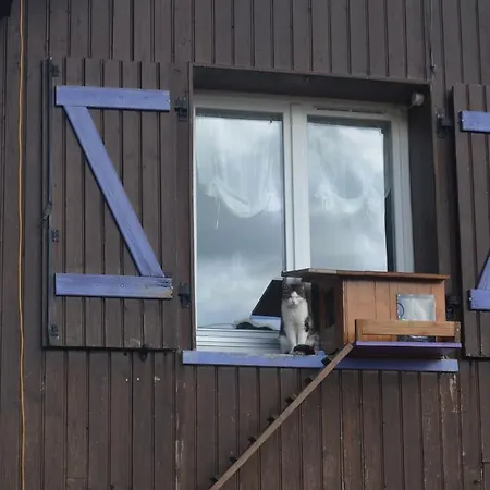 イン D'altitude De Grouvelin 3*