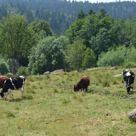 D'altitude De Grouvelin 3* Gérardmer