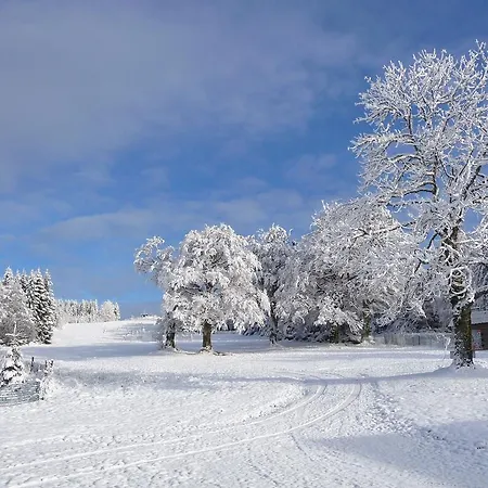 D'altitude De Grouvelin イン