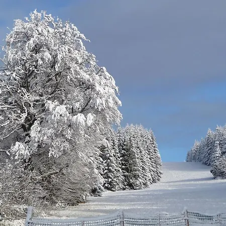 D'altitude De Grouvelin 3* ジェラールメ