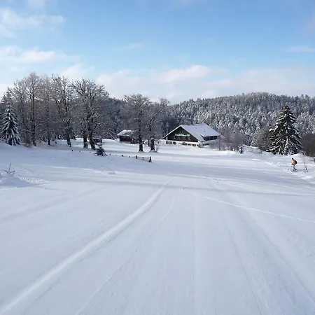 D'altitude De Grouvelin Gérardmer