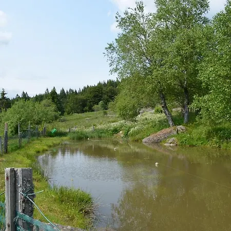 D'altitude De Grouvelin 3*