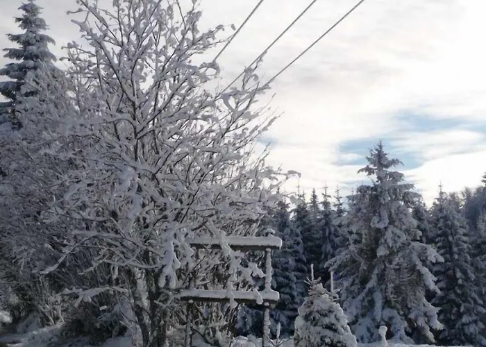 D'altitude De Grouvelin Penzion