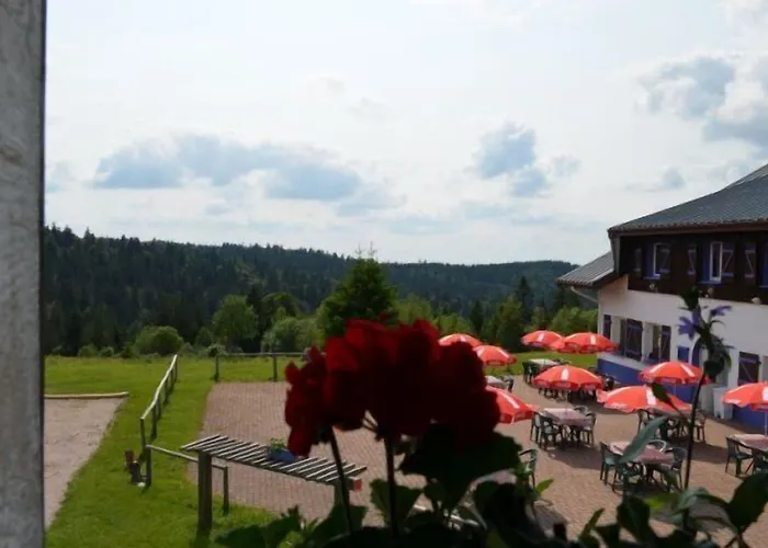 D'altitude De Grouvelin Gasthof Gérardmer