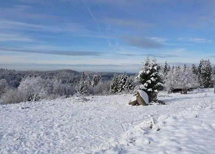 Penzion D'altitude De Grouvelin Gérardmer