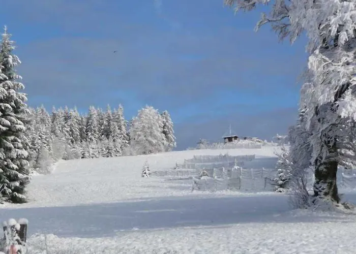 Penzion D'altitude De Grouvelin Gérardmer