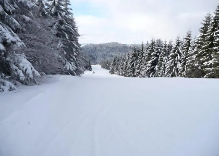 D'altitude De Grouvelin Penzion 3*