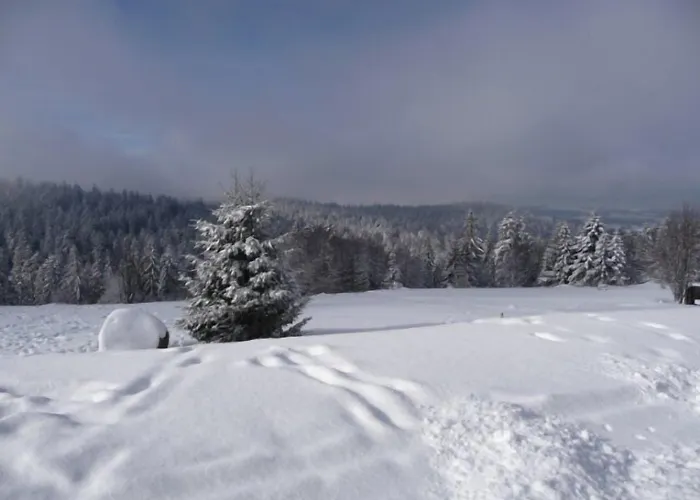 D'altitude De Grouvelin Gasthof Gérardmer