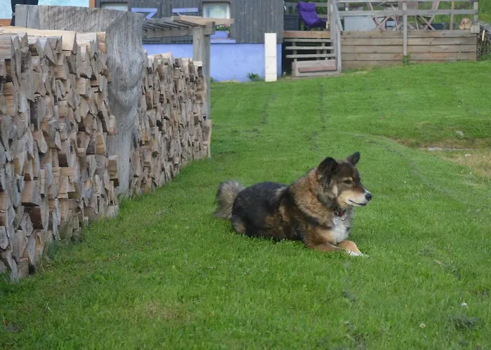 Gasthof D'altitude De Grouvelin Gérardmer