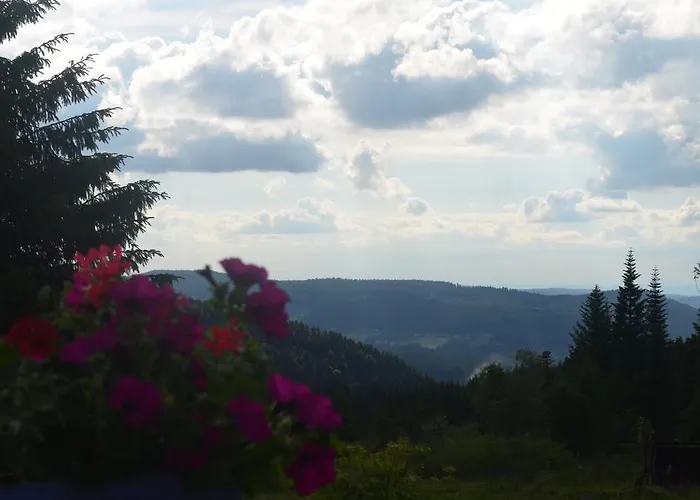 D'altitude De Grouvelin Gérardmer