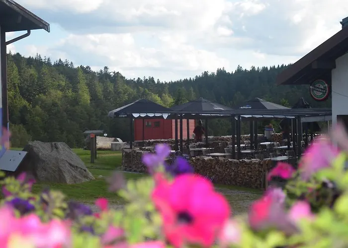 Gasthof D'altitude De Grouvelin Gérardmer