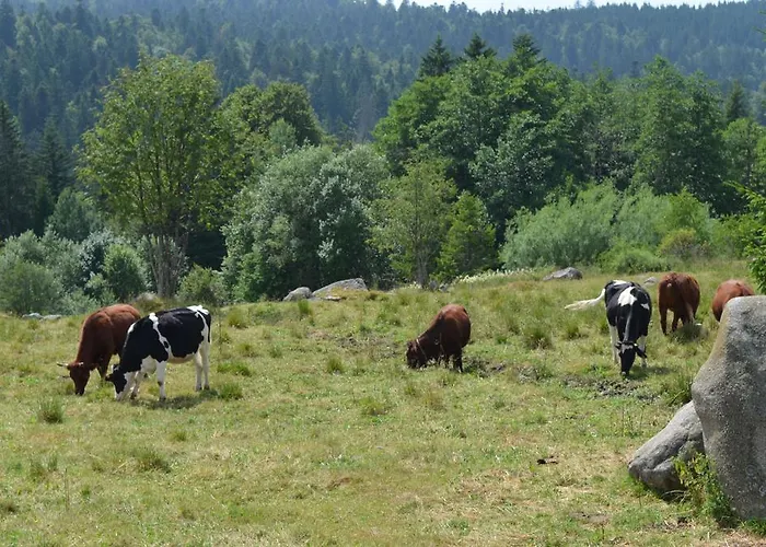 D'altitude De Grouvelin 3* Gérardmer