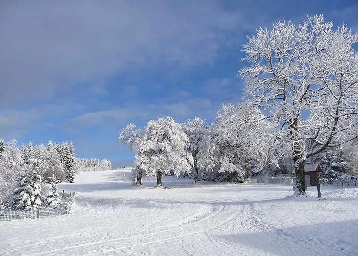D'altitude De Grouvelin Gasthof
