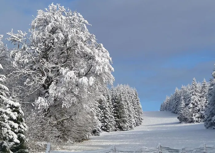 D'altitude De Grouvelin 3* Gérardmer