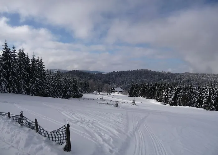 D'altitude De Grouvelin Gasthof Gérardmer