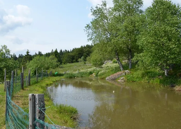 D'altitude De Grouvelin 3*