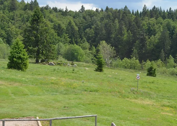 D'altitude De Grouvelin Penzion 3*