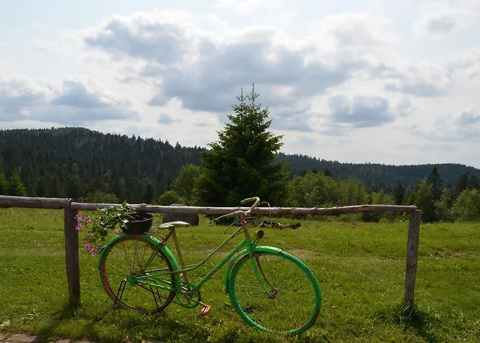 Gasthof D'altitude De Grouvelin Gérardmer